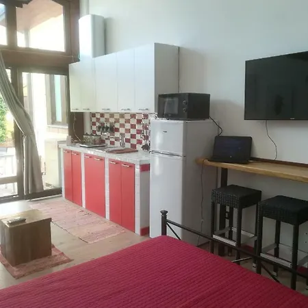 Apartment Loft Busto *